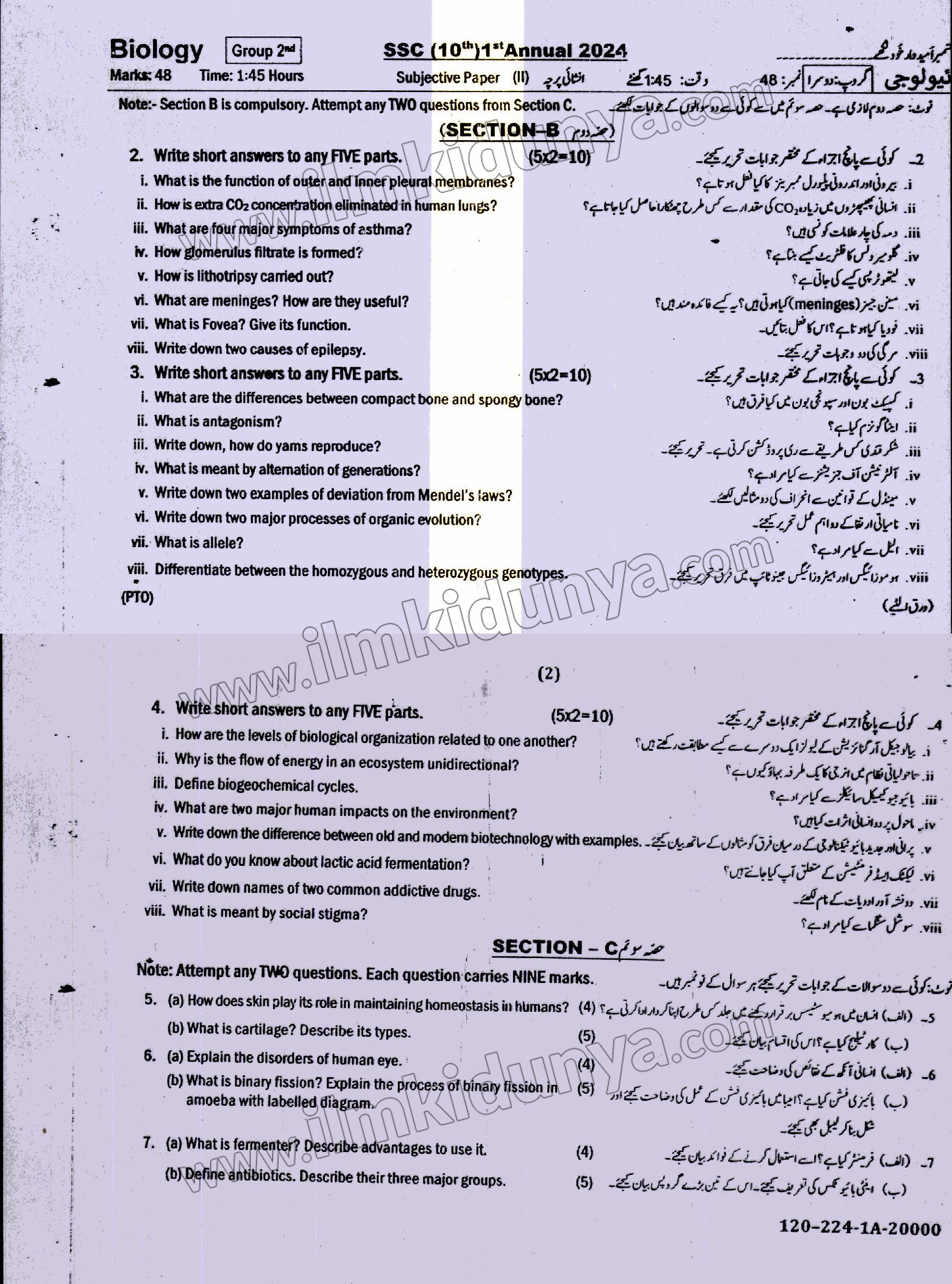 Paper Image